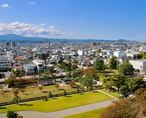 緑豊かな公園とその周囲に広がる市街地の風景、遠くに山々が見える晴れた日の写真