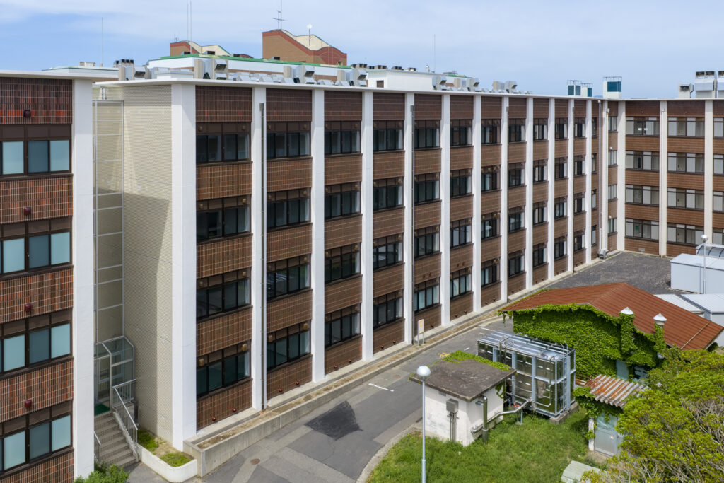 表示中イメージ