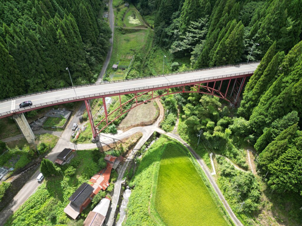 表示中イメージ